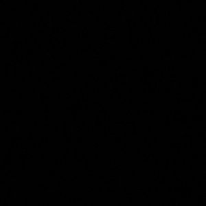 Meet your Posher, Isaiah